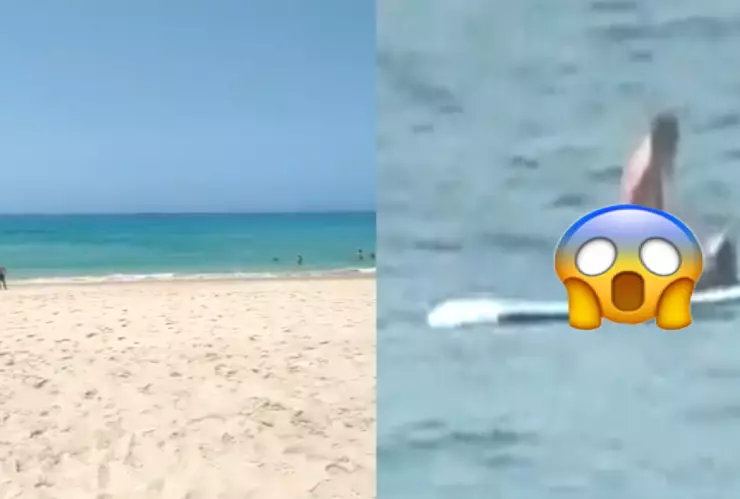 Pareja teniendo relaciones en tabla de surf