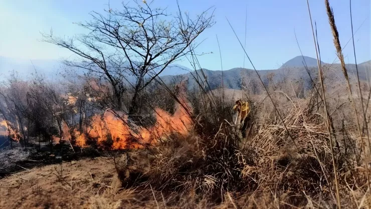 Diseño sin título - 2026-03-14T062441.448.jpg