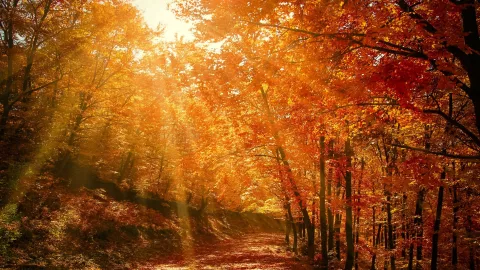 Equinoccio de otoño 2025 ¿Qué pasará y cuándo ocurrirá en México