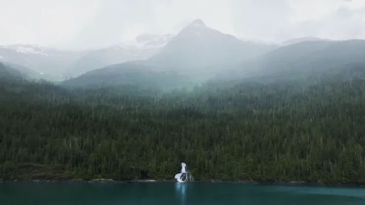 Bosque Nacional Tongass