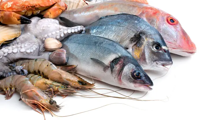 pescado