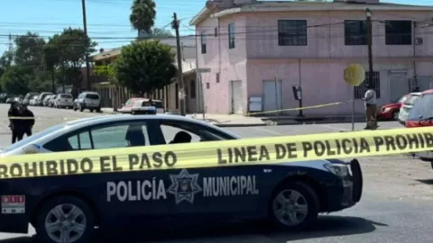 Tijuana Hoy: Persona sin vida en la avenida internacional zona norte hoy 13 de febrero de 2025