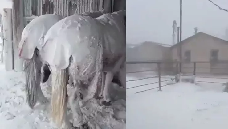 Diseño sin título (2).jpg