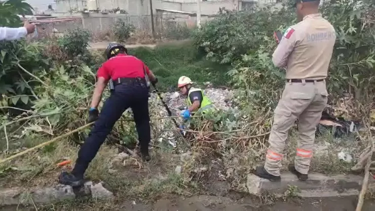 Hallan bolsas con restos humanos en Ecatepec.