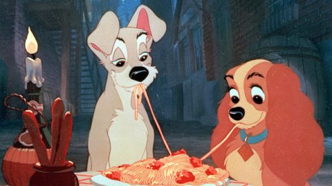 Dama y el Vagabundo Kidsiete