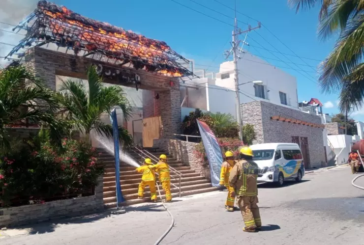 Incendio consume palapas en parque acuático Dolphin Discovery
