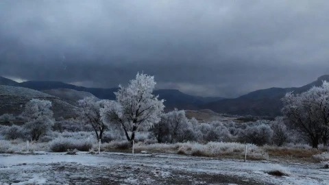 Frente Frío 14 Guanajuato 2025 fin de semana