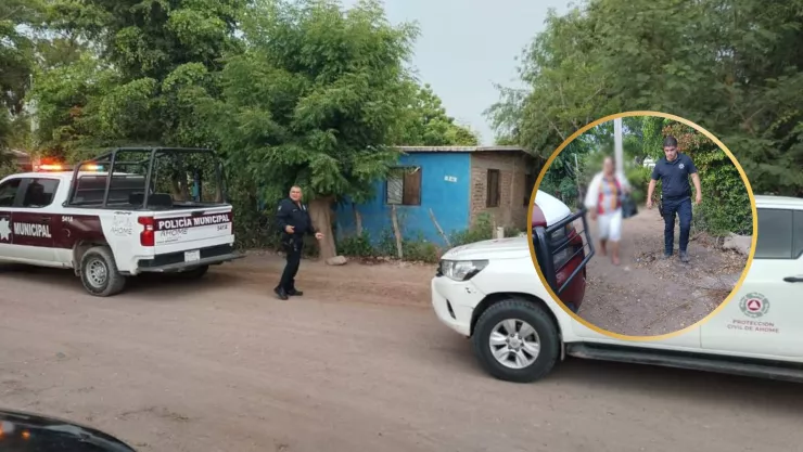 Abejas atacan a familia en Ahome.jpg