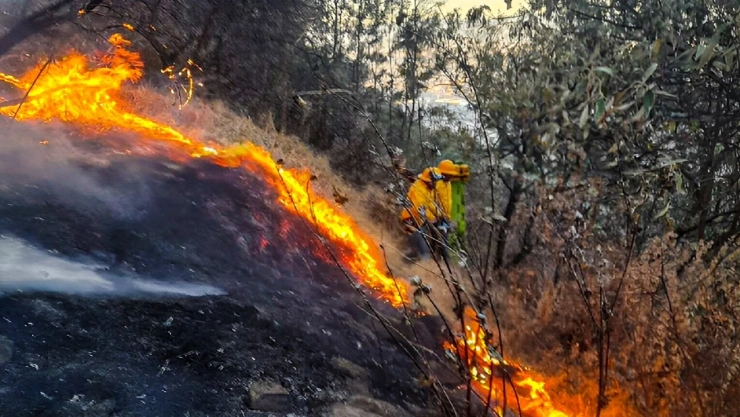 Incendios-forestales-en-el-Edomex-Cierran-el-acceso-al-Nevado-de-Toluca-está-cerrado