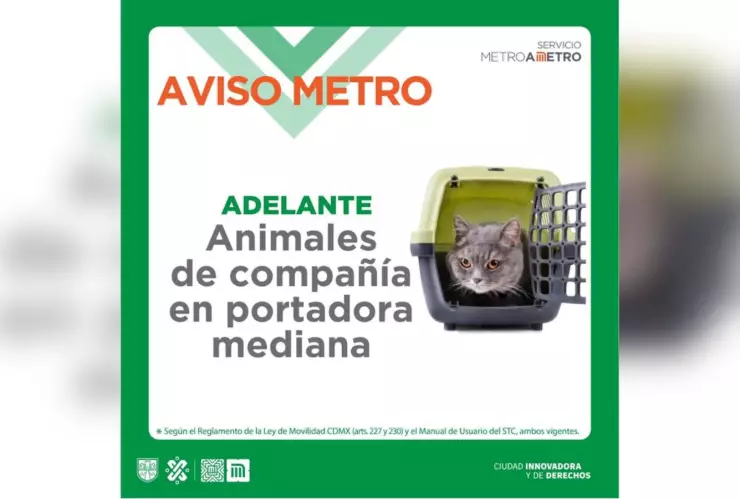 Metro-CDMX-perros-vias-que-hacer
