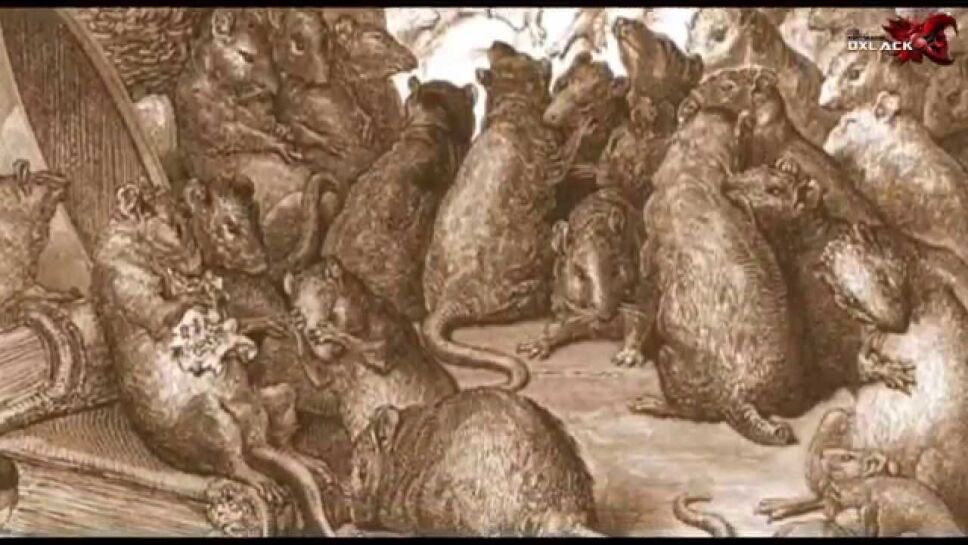 ratas vs gatos