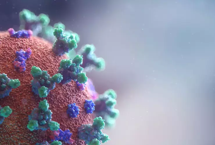 Adolescente muere a causa del virus de la gripe en California