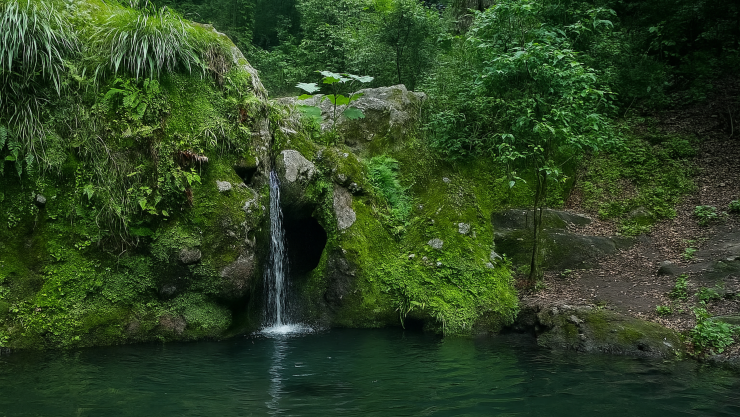 Amatlán de Quetzalcóatl.