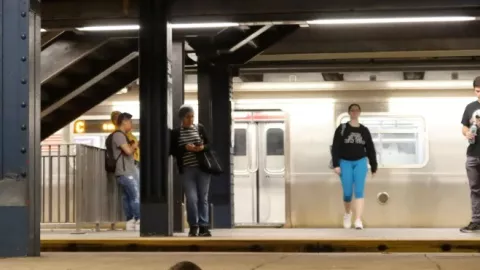 Nueva York cuenta con una plaga de roedores como la rata GIGANTE