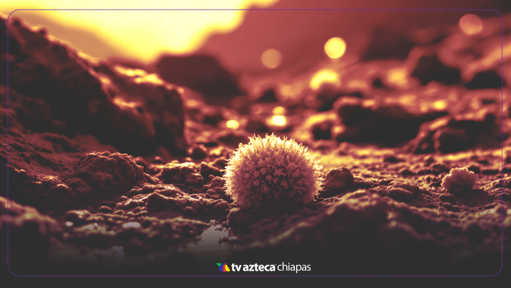 Moléculas orgánicas Marte