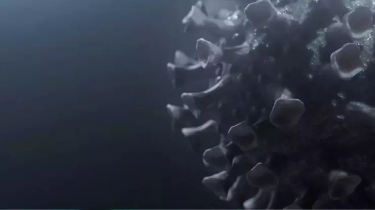 casos de HMPV en Sinaloa