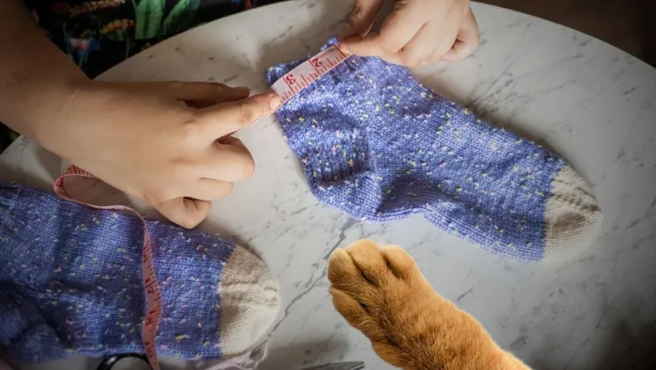 Ideas DIY Cómo crear un juguete para mascotas a partir de calcetines desparejados.jpg