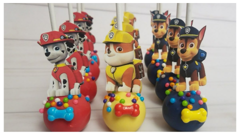 Paw patrol