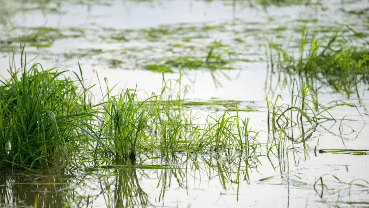 Encuentran cuerpo de una mujer en una maleta