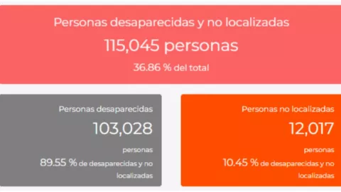 Captura de pantalla del RNPDNO al 21 de marzo de 2024