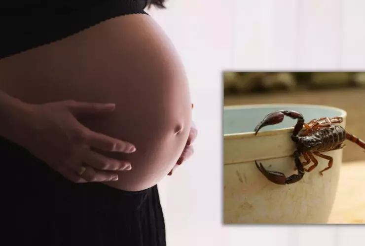 Mujer muere por alacrán