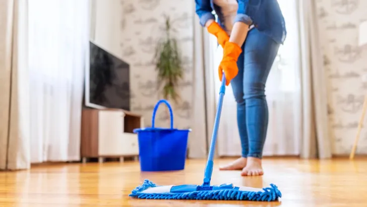 ¿Cuánto debería de ganar una trabajadora doméstica?
