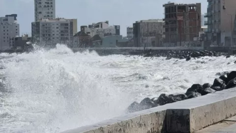 Olas de 2 a 4 metros