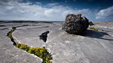 ¿Qué grieta fue localizada en el océano y cómo afecta a las placas tectónicas?