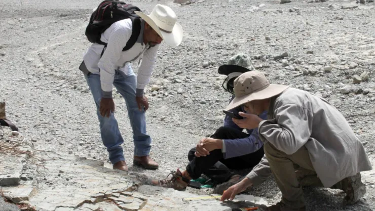 Huellas de dinosaurios en Puebla: descubren rastros de hace 132 millones de años