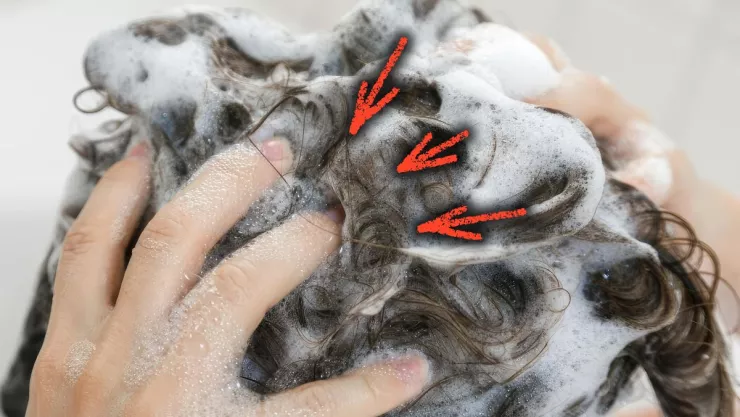 /estilo-de-vida/tecnica-clave-pelo-crezca-sano-y-fuerte