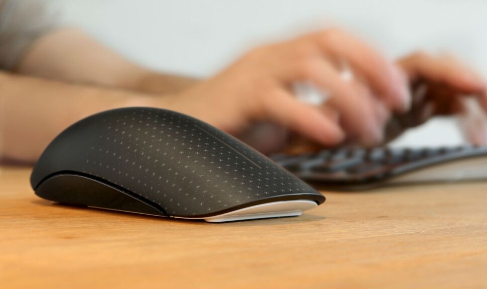 mouse
