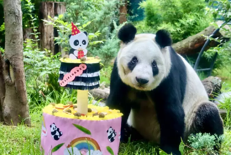 Estos son los costos del Zoológico de Chapultepec por vacaciones de verano