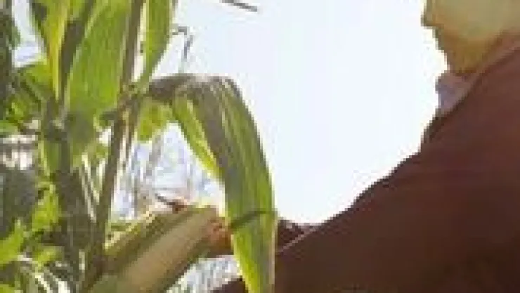 Campo, agricultura, indicadores
