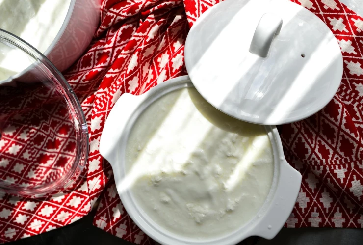 Para jocoque tradicional de Talpa de Allende Jalisco.jpg