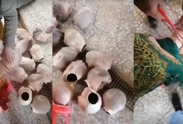 talibanes maniquies tiendas afganistan