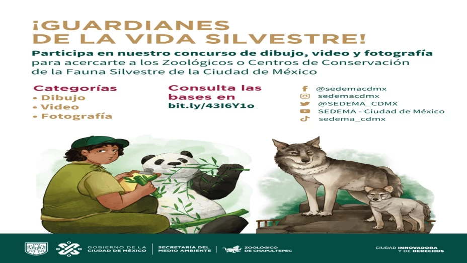 Convoca Sedema a concurso “Guardianes de la Vida Silvestre”.jpg