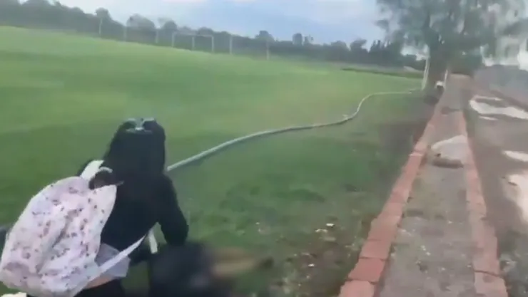 Ataque a perritos San Luis Potosí