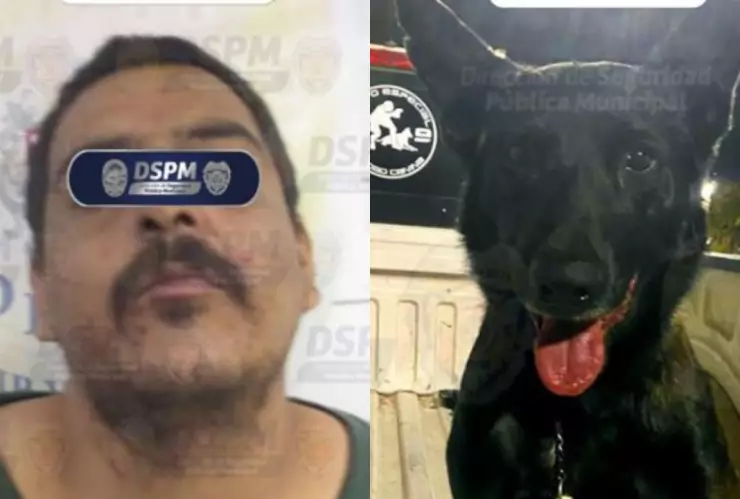 Perro K9 “Bush” neutraliza a hombre agresivo en colonia Villa Juárez