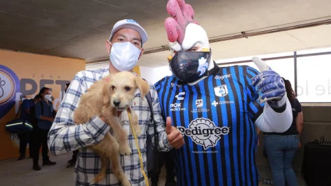 Estadio petfriendly