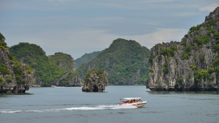 turistas indios mueren en Vietnam
