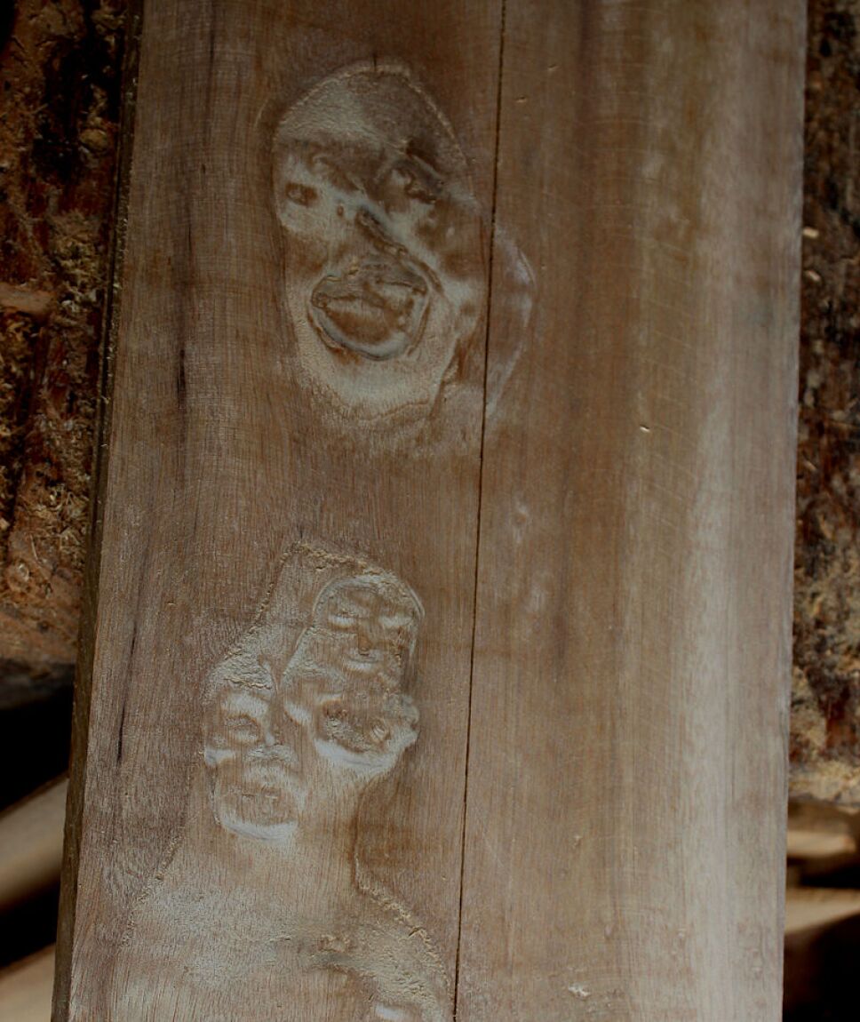 Pareidolia, rostros, cerebro.jpg