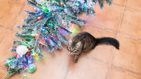 Gato árbol de Navidad