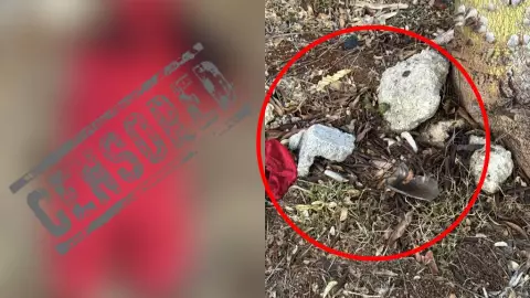 PORTADA brujería Mérida muñeco sin cabeza.jpg