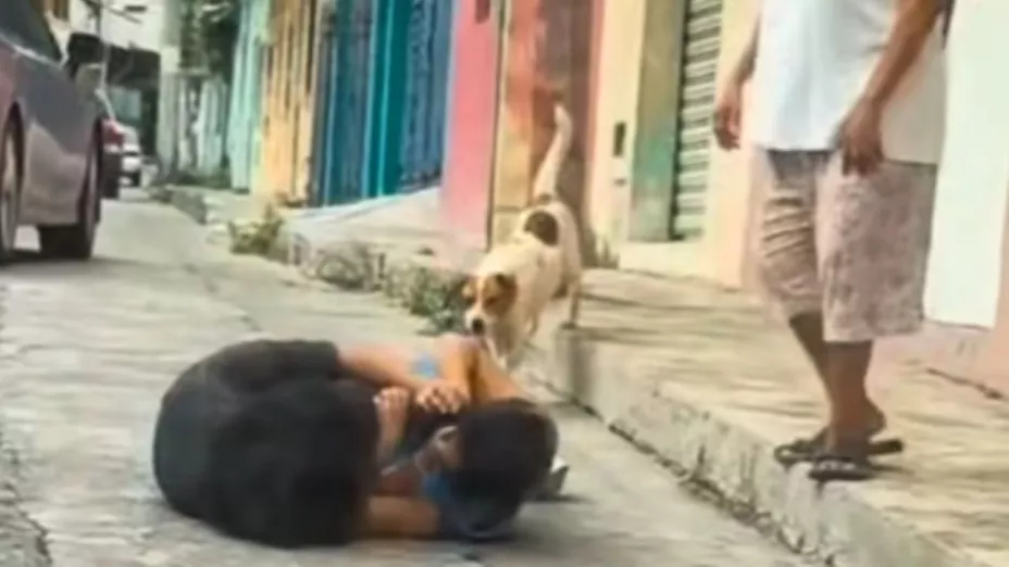 Ni la intervención de una mujer mayor ni un perro lograron calmar a las involucradas