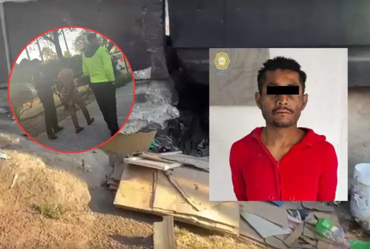 Horror en la GAM: Detienen a sujeto por matar perros para comerlos en Insurgentes