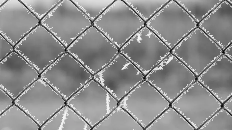 ¿Bajas temperaturas? Este es el pronóstico del clima de hoy viernes 22 de noviembre de 2024