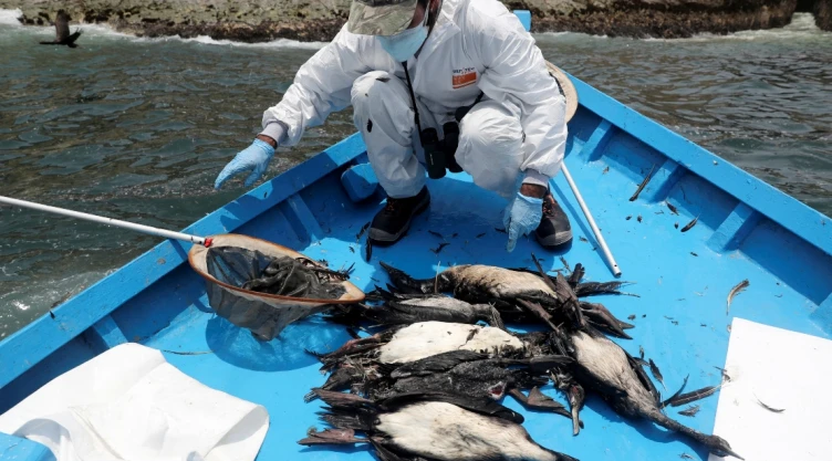 peru petroleo desastre ecologico