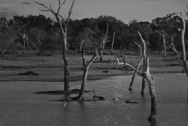 Habitantes recurren a ritual prehispánico ante grave sequía en Hidalgo; ¡dejan ofrenda de tamales!