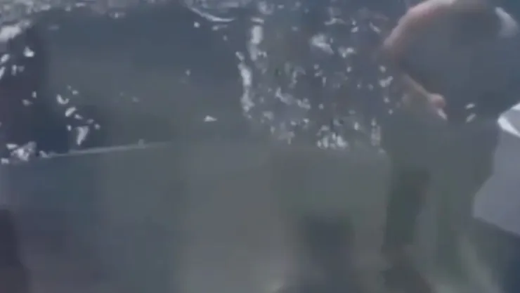 ¡Momentos de tensión! Captan el momento exacto que un tripulante perdió la vid4 tras un fuerte choque (VIDEO).jpg