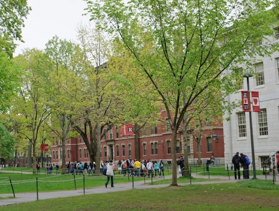 Universidad de Harvard